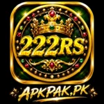 222rs game