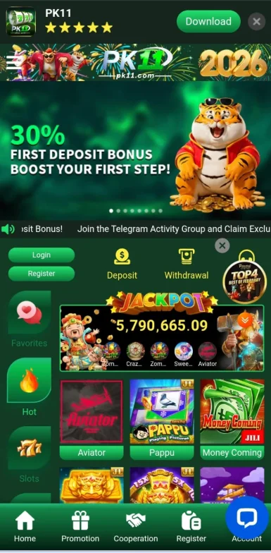 pk11 game interface before log in