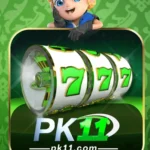 pk11 game official logo