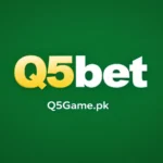 q5bet game logo