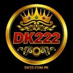 dk222 game logo