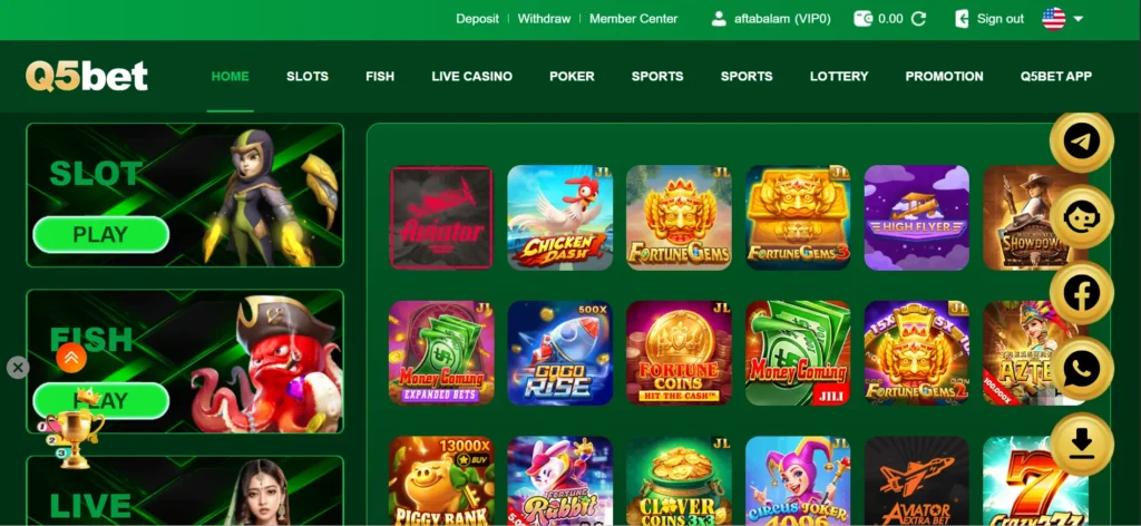 interface of q5bet game
