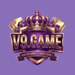 v9 game logo