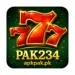 pak234 game log