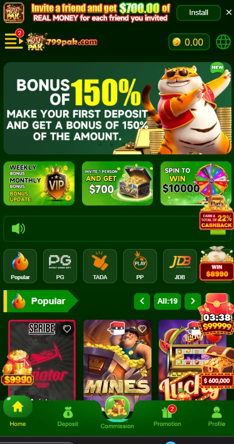 cgameategories of 799pak game