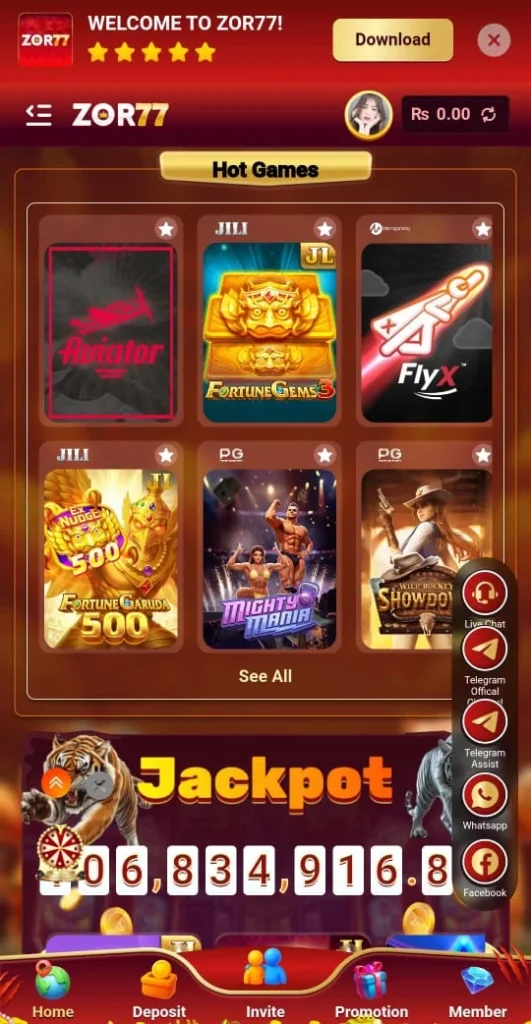 zor77 game dashboard