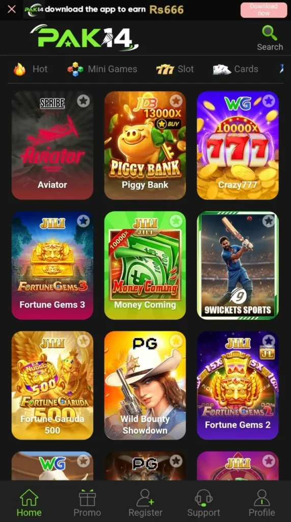pak14 game interface